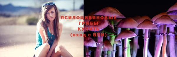 прущая мука Белокуриха