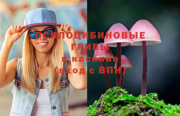 прущая мука Белокуриха