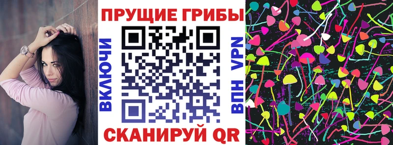 Псилоцибиновые грибы Psilocybe как найти закладки блэк спрут ТОР Волосово